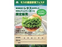 【岩手県】モスバーガー全12店舗で「モスの産直野菜フェスタ」開催。県内生産のレタスを堪能！