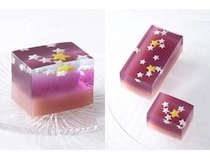 【京都府京都市】七夕前の1週間限定で出逢える和菓子「星逢い」発売！2色の琥珀羹で夜空の色を表現