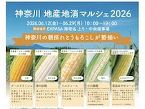 【神奈川県海老名市】神奈川県産の朝採れトウモロコシが一堂に集結！「神奈川 地産地消マルシェ 2026」開催
