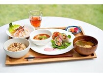 【山梨県北杜市】大人の食育の場！アルソアがオーガニック社員食堂「ザ・ガーデン」を一般開放