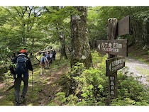 【静岡県伊豆市】静岡ガスが天城山でシカ食害の実態を学ぶツアー実施。トレッキングで見た食害の現実