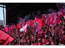 関西外大の留学生がセレッソ大阪のアンケートに協力！スタジアムで試合を観戦し回答