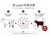 石垣島で大切に育てられた牛だけを使用した、牛肉ブランド「HALEBEEF」登場！