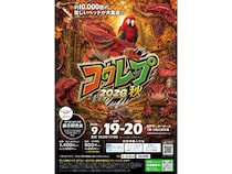 【兵庫県神戸市】爬虫類の体験型展示即売会「コウレプ2026秋」開催！両生類・猛禽類・小動物も大集合
