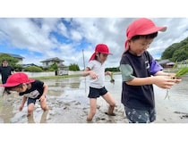 【岡山県赤磐市】地域の田んぼと園をつなぐ「食農保育プロジェクト」始動！岡山県の子どもたちが参加