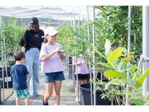 【千葉県市原市】珍しい品種の食べくらべができる「さわやかブルーベリーファーム市原」で収穫体験開催