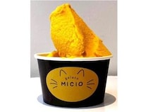 【神奈川県鎌倉市】ジェラートショップ「MICIO」オープン！フレーバーの一部に必ず神奈川産素材を使用