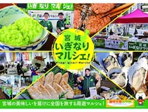 宮城県の美味しいものを集めた「宮城いぎなりマルシェ！」を全国で開催