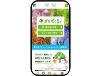 全国11公園で「夏のネイチャーハント」開催！スマホで木を探してクイズに解答