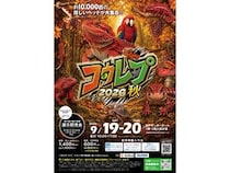【兵庫県神戸市】爬虫類の体験型展示即売会「コウレプ2026秋」開催！両生類・猛禽類・小動物も大集合