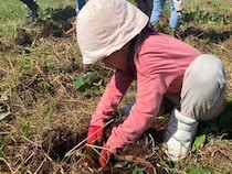 【千葉県長生村】シュタイナー教育100周年記念、千葉・九十九里の畑で親子向け夏野菜収穫イベント開催