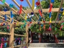 【愛知県刈谷市】約1,500個の風鈴が彩る市原稲荷神社の「夏詣」開催！限定の授与品やライトアップも