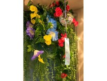【東京都渋谷区】心理カウンセラーのいるカフェ「ココロゴトカフェ」であさがおと癒しの空間フェア開催