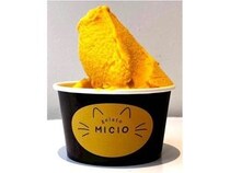 【神奈川県鎌倉市】ジェラートショップ「MICIO」オープン！フレーバーの一部に必ず神奈川産素材を使用
