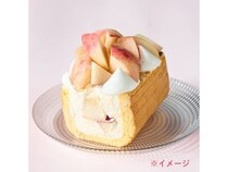 【埼玉県熊谷市】「熊谷青果市場 果匠とびくま」スイーツ朝市に希少桃「夢桃香」のロールケーキが登場
