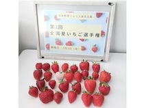 【奈良県天理市】おいしい夏いちご日本一が天理市の「カジュレアの古都華『極夏ノ雫』」に決定！