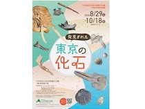 【東京都千代田区】化石掘り体験も開催！千代田区立日比谷図書文化館の特別展「発見された東京の化石」