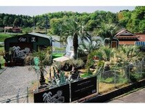 【広島県東広島市】新たな空間価値を提案する景観デザインブランド「Bloom in the Desert」実店舗がオープン