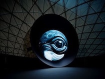 【東京都江東区】大阪・関西万博「BLUE OCEAN DOME」で公開した大型映像を日本科学未来館で特別上映