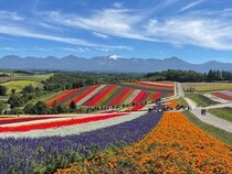 【北海道富良野市】ノゾホテルが夏の富良野を満喫できるアクティビティを発表！家族でエンジョイ