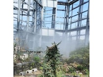【大阪府大阪市】世界の食虫植物約100種類が集結する「虫を食べる植物展」開催！講座などの企画も