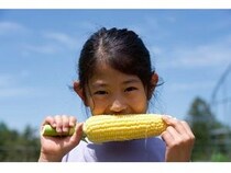 【長野県原村】八ヶ岳農業大学校で「生トウモロコシ収穫体験」開始。その場でかじりつける！