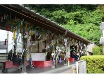 【静岡県藤枝市】岡部宿大旅籠柏屋で、家族で楽しめる「柏屋のたなばた夕涼み」開催！流しそうめんも