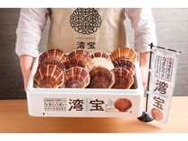 【北海道札幌市】ブランドホタテ『湾宝』を楽しめる「長万部まるごとうまいもんフェア」が開催！