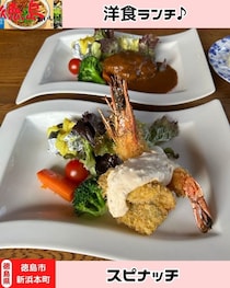 【徳島県徳島市】スピナッチ