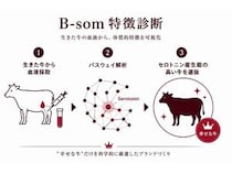 石垣島で大切に育てられた牛だけを使用した、牛肉ブランド「HALEBEEF」登場！