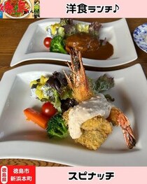 【徳島県徳島市】スピナッチ