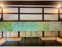 【京都府京都市】玉林院で障害のあるクリエイターの作品展開催。茶の湯文化と現代アートが響き合う