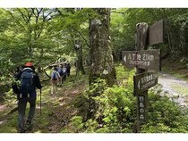 【静岡県伊豆市】静岡ガスが天城山でシカ食害の実態を学ぶツアー実施。トレッキングで見た食害の現実