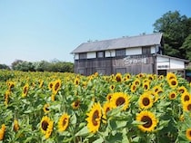 【香川県小豆島町】二十四の瞳映画村 ギャラリー松竹座映画館で「文学講座2026」開催！夏の企画も