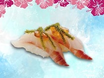 「金沢まいもん寿司」9店舗で沖縄フェア開催！極上ネタが集結する「夏のまいもん」も