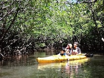 【沖縄県石垣市】「空風 石垣島店」がオープン、カヌー＆トレッキングを楽しめる新ツアーもスタート
