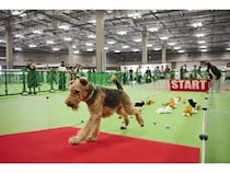【東京都江東区】愛犬・愛猫と楽しめる「レティシアン感謝祭2026」開催！入場無料＆事前予約不要