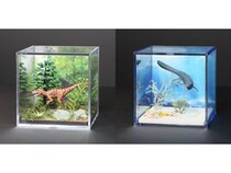【福井県福井市】誰でも簡単に恐竜ジオラマの制作体験を楽しめる「ジオキューブ ワンダー！」開催