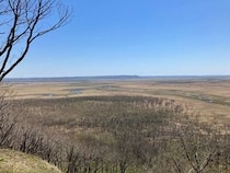 【北海道鶴居村】釧路湿原国立公園内の「鶴居・西武の森」、環境省の「自然共生サイト」に認定！