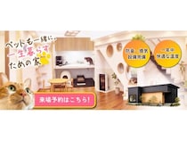 【新潟県長岡市】ローコスト平屋専門店「平屋ベース」「平屋リーフ」にペット特化住宅プラン登場！