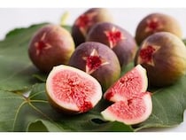 島根県産の2つのプレミアム果実、ぶどう「神紅」＆いちじく「蓬莱柿」発売！