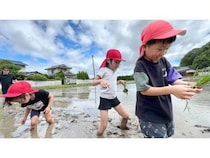 【岡山県赤磐市】地域の田んぼと園をつなぐ「食農保育プロジェクト」始動！岡山県の子どもたちが参加