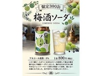 いわて蔵ビール、自家製ジンに梅を1年漬け込んだ「梅酒ソーダ」を限定300缶で新発売！
