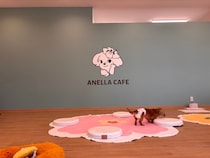 【岡山県岡山市】保護犬猫と出会える出会いと癒やしの場「ANELLA CAFE」が、岡山に3店舗目をOPEN