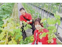 パパネッツ、障がいがある従業員が育てた野菜を「こども食堂」に寄付