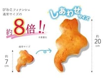 通常サイズの約8倍「びわこフィナンシェ しあわせサイズ」登場！滋賀県内12店で販売