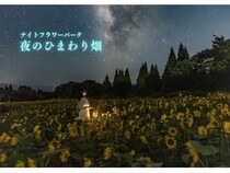 【大分県竹田市】くじゅう花公園『ナイトフラワーパークSummer』開催！夜のひまわり畑をめぐろう