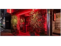 【東京都港区】植物・音楽とともに食・お酒を楽しむビアレストラン「VINYL HOUSE 六本木植物園」OPEN