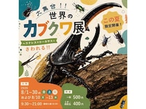 【山口県宇部市】世界中の珍しいカブトムシやクワガタが大集合するイベント開催！食虫植物展も同時開催
