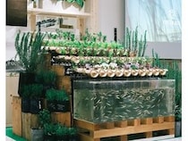 【神奈川県横浜市】魚と野菜と人がともに生きる、共生型コミュニティ農園「ともいきファーム」開園！